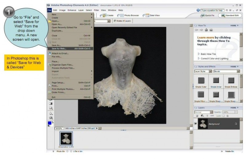 Resize images for web